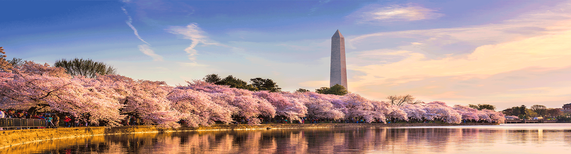 טיסות אל על לצפון אמריקה